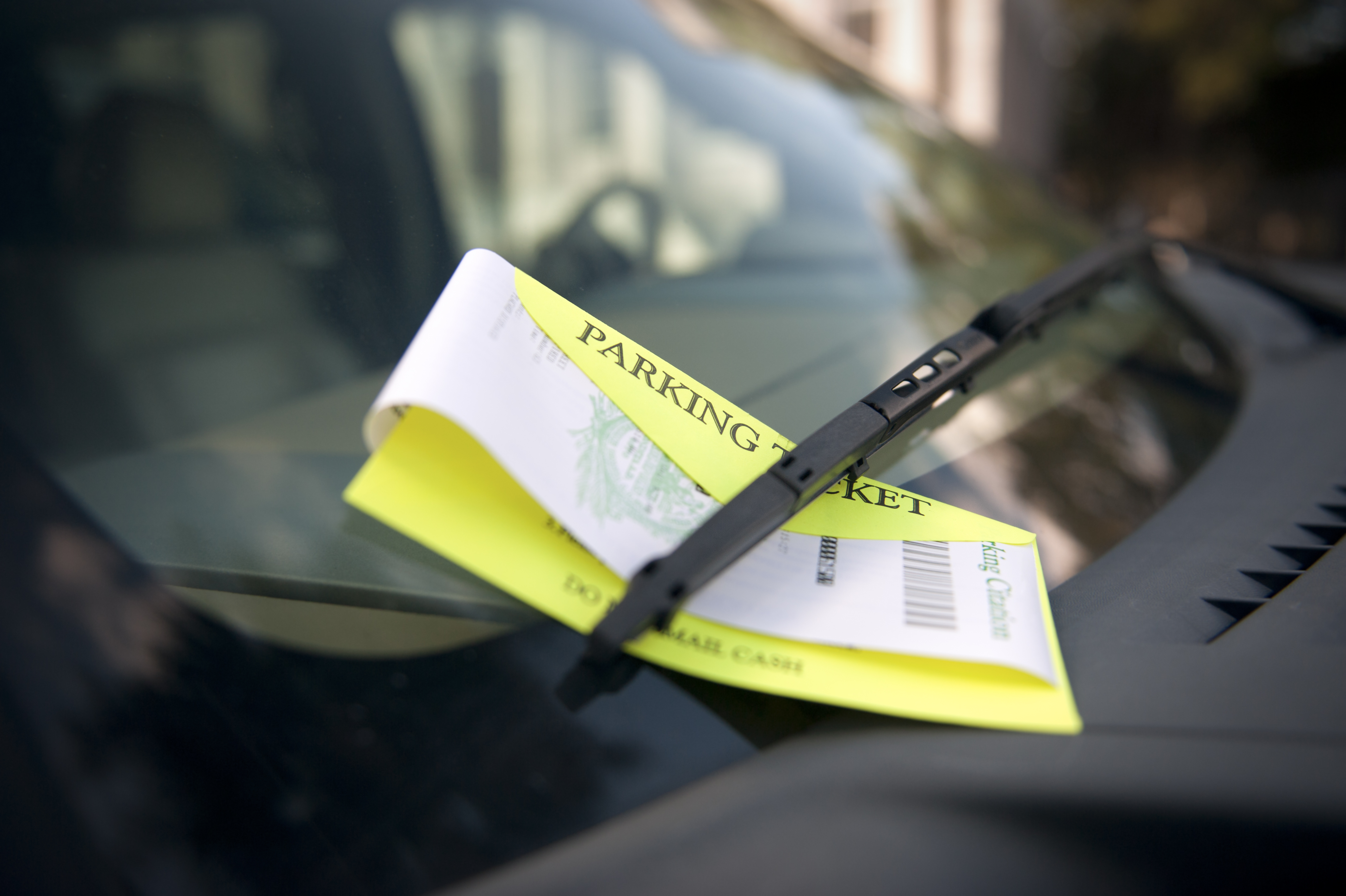 Enforcement team in action